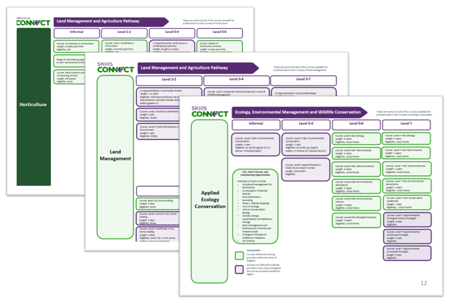 Pathways Thumbnail of documents - details unclear